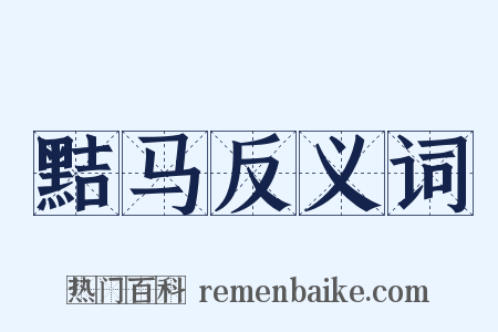 黠马反义词是什么意思的图片
